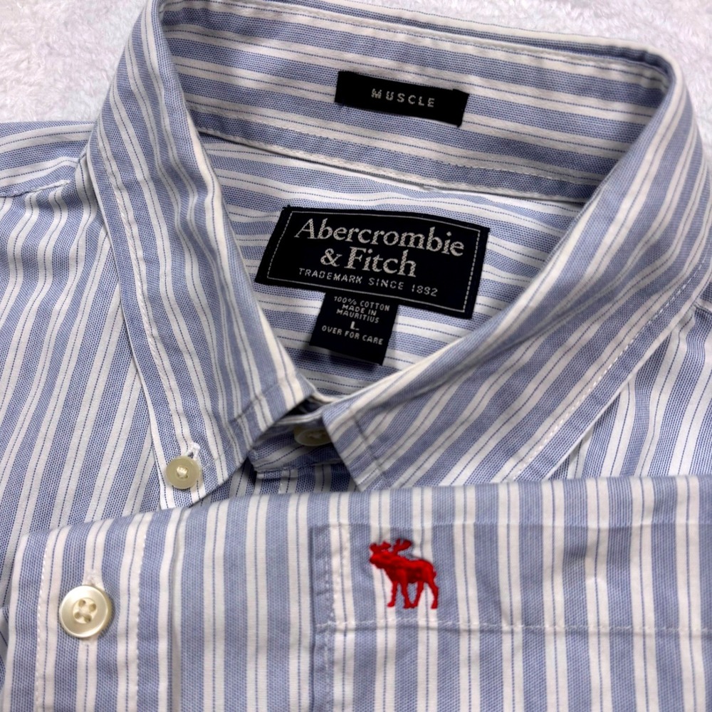 Y2K Abercrombie Fitch Button Shirt Men L White Blue Stripe Muscle Fit Moose Logo